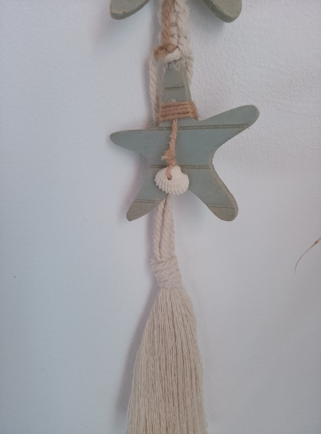 Estrella de Mar