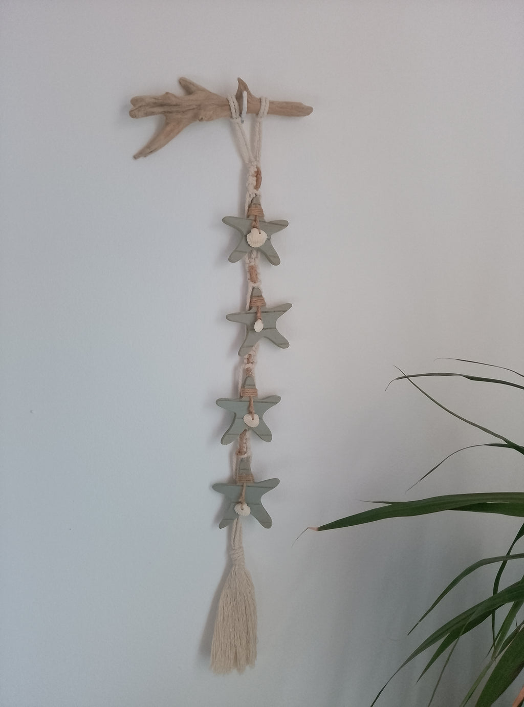 Estrella de Mar