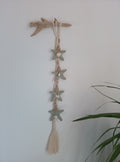 Estrella de Mar